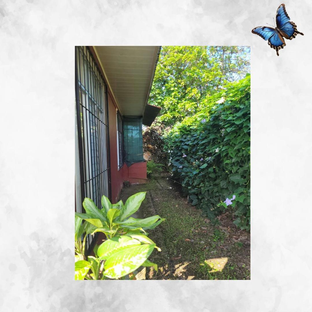 Morpho Casa Vacacional Villa La Fortuna Exterior photo